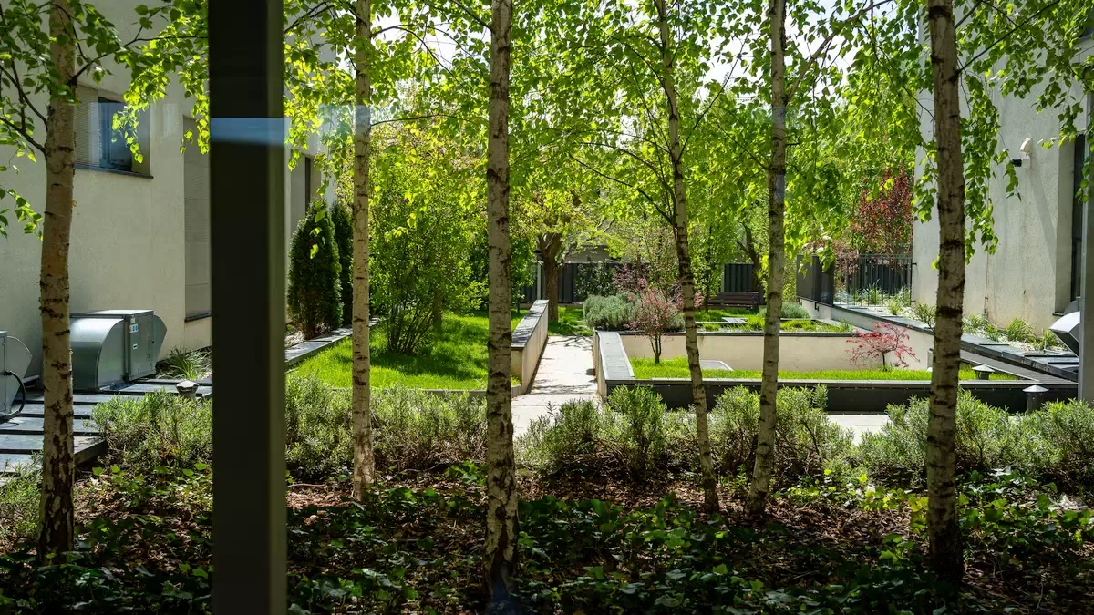 Clinica Dental CATTED vedere spre curtea interioara